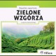 Biopaliwo zapachowe - zielona herbata